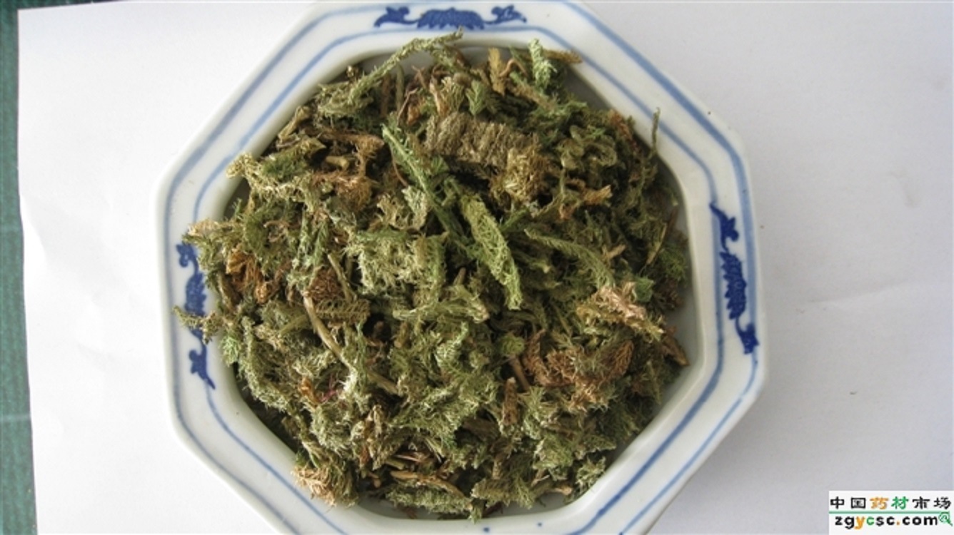 永利最新登录入口